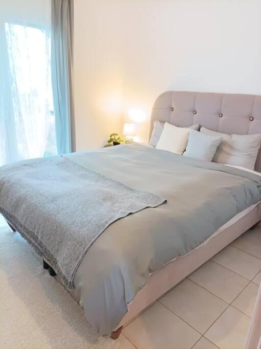Comfy Cozy Iksia *